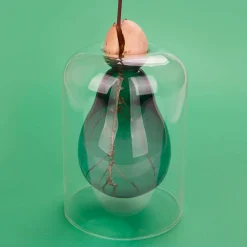 Balvi Tableware Brands^Avocado Seed Glass Vase