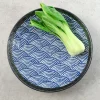 Kiji Stoneware & Ceramics Tableware Brands|Japanese Ingredients^Blue Wave Dinner Plate, 29cm