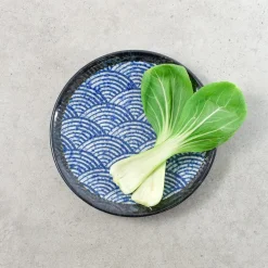Kiji Stoneware & Ceramics Tableware Brands|Japanese Ingredients^Blue Wave Medium Plate, 22cm