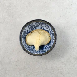 Kiji Stoneware & Ceramics Tableware Brands|Japanese Ingredients^Blue Wave Noodle Bowl, 16.8cm