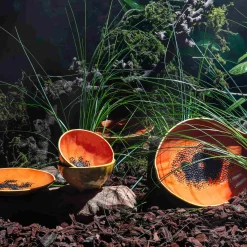 Bordallo Pinheiro Table Setting|Serveware^Tropical Fruits Papaya Serving Platter, 35x23cm