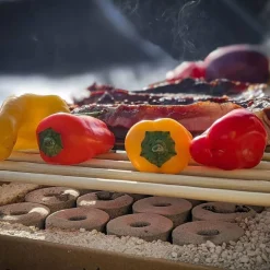 Casus Grills Picnicware|Food Smokers^CasusGrill Disposable Eco BBQ