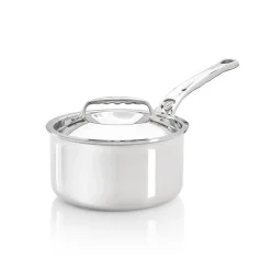 De Buyer French Ingredients|Pots & Pans^Affinity Stainless Steel Saucepan with Lid