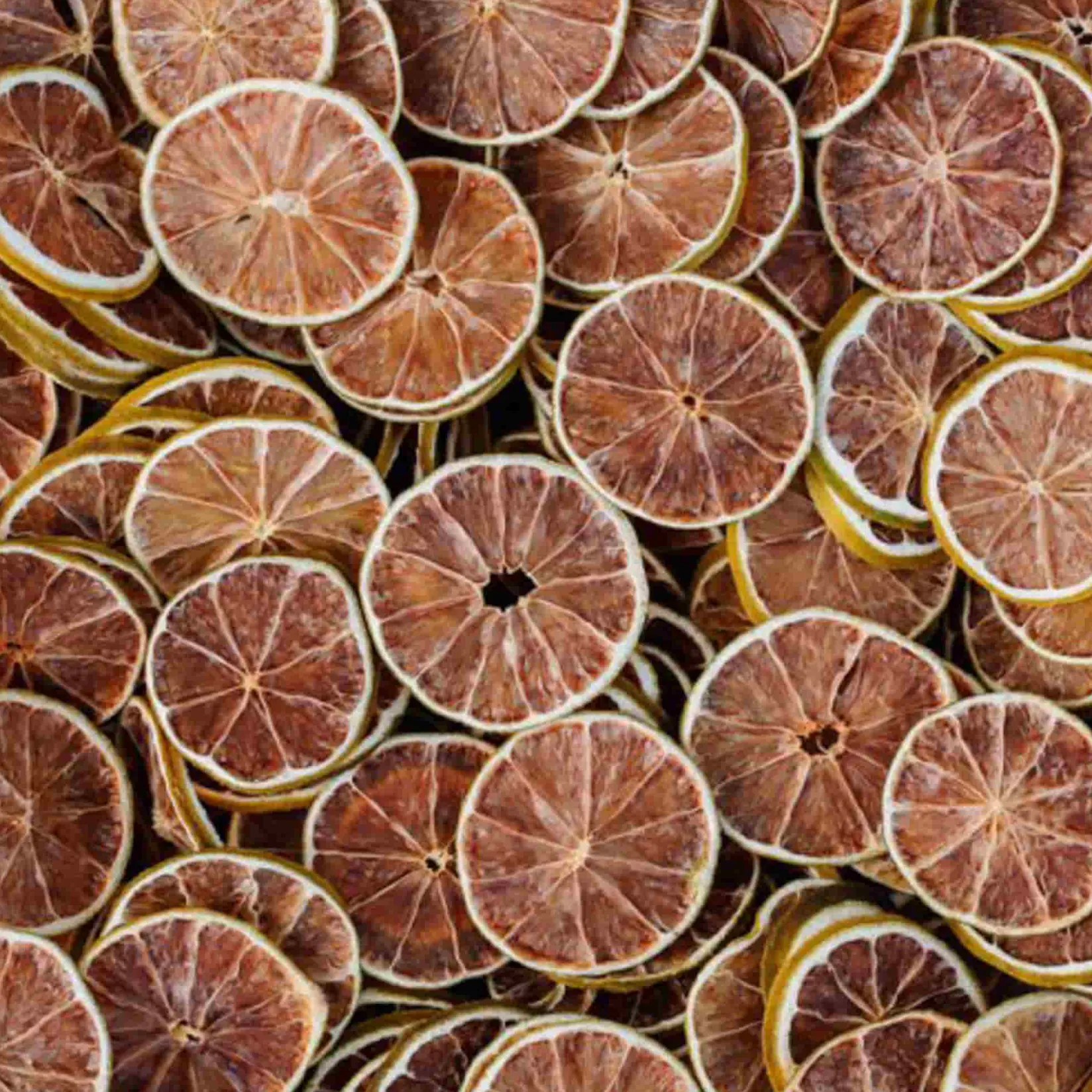 Botanic & Fruits Ingredients Brands|Baking Ingredients^Dried Lime Slices in Jar, 55g