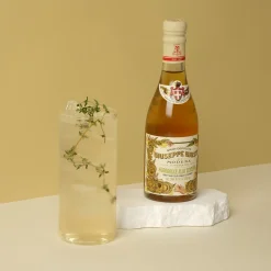 Giuseppe Giusti Ingredients Brands|Italian Ingredients^Giusti Sweet and Sour Ginger Condiment, 250ml