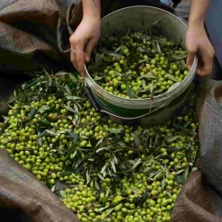 Honest Toil Greek Ingredients|Extra Virgin Olive Oil^Extra Virgin Greek Olive Oil