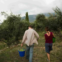 Honest Toil Greek Ingredients|Oil, Vinegar & Dressings^Extra Virgin Greek Olive Oil, 500ml