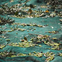 Honest Toil Greek Ingredients|Oil, Vinegar & Dressings^Extra Virgin Greek Olive Oil, 500ml