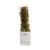 Kalios Greek Ingredients|Herbs & Spices^Greek Dried Oregano Branches, 40g