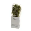 Kalios Ingredients Brands|Greek Ingredients^Greek Dried Sage Branches, 40g