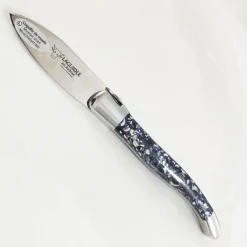 Laguiole en Aubrac Kitchen Knives^Mussel Shell Handle Oyster Knife