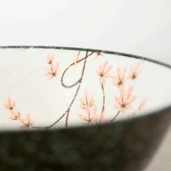 Kiji Stoneware & Ceramics Japanese Ingredients|Japanese Tableware^Maple Leaf Ramen Bowl, 21cm