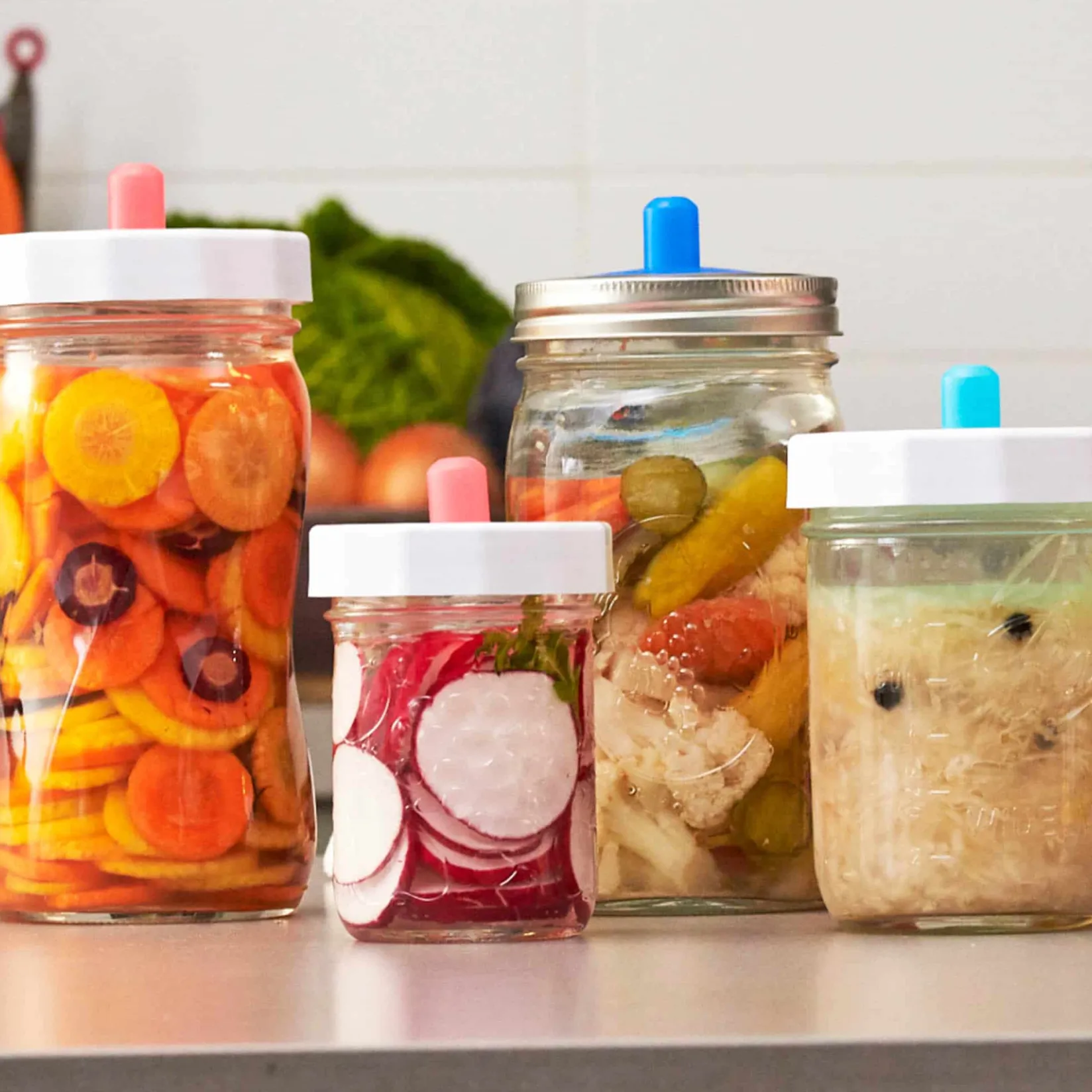 Masontops Pickling, Preserving & Fermenting Jars|Recipe Kits^Complete At Home Wide Mouth Fermentation Kit