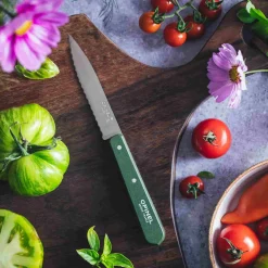 Opinel Kitchen Knives^No 113 Khaki Beechwood Handle Serrated Paring Knife, 10cm
