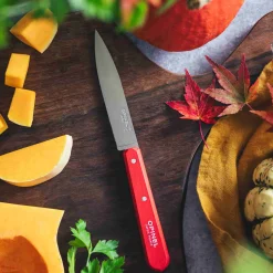 Opinel Kitchen Knives^No 112 Red Beechwood Handle Paring Knife, 10cm