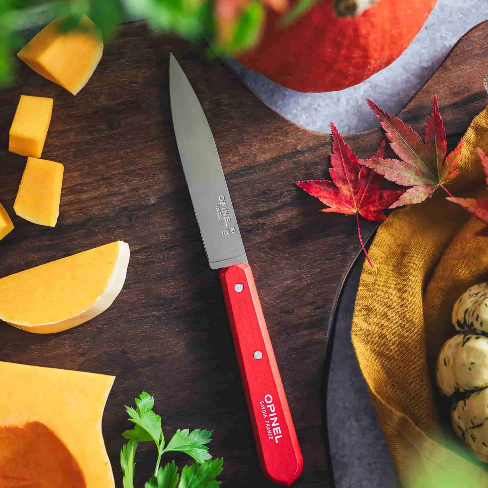 Opinel Kitchen Knives^No 112 Red Beechwood Handle Paring Knife, 10cm