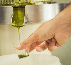 Pariani Ingredients Brands|Italian Ingredients^Roasted Bronte Pistachio Oil, 100ml