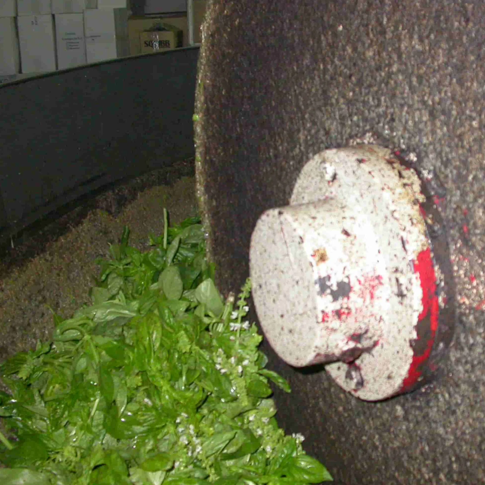 Galantino Ingredients Brands|Italian Ingredients^Puglian Olive Oil with Basil in Terracotta Bottle, 250ml