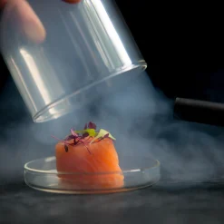 Sage Kitchen Electricals|Food Smokers^Smoking Gun