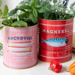 Rex London Tableware Brands^Set of 2 Mackerel & Anchovies Utensil Jars