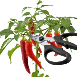 Triangle Kitchen Tools & Utensils^Take Apart Kitchen & Herb Scissors