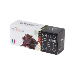 Veritable Tableware Brands|Japanese Ingredients^Asian Lingot Insert, Organic Red Shiso