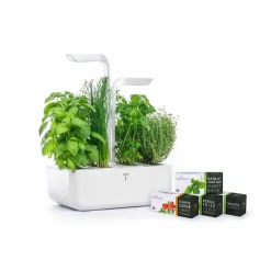 Veritable Tableware Brands|Kitchen Electricals^Classic Indoor Herb Garden