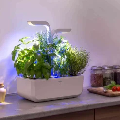 Veritable Tableware Brands|Kitchen Electricals^Classic Indoor Herb Garden