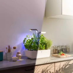 Veritable Tableware Brands|Kitchen Electricals^Classic Indoor Herb Garden