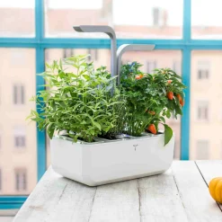 Veritable Tableware Brands|Kitchen Electricals^Classic Indoor Herb Garden