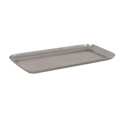 Vintage Tableware Brands^Style Stainless Steel Rectangular Serving Tray, 19.5x8.5cm