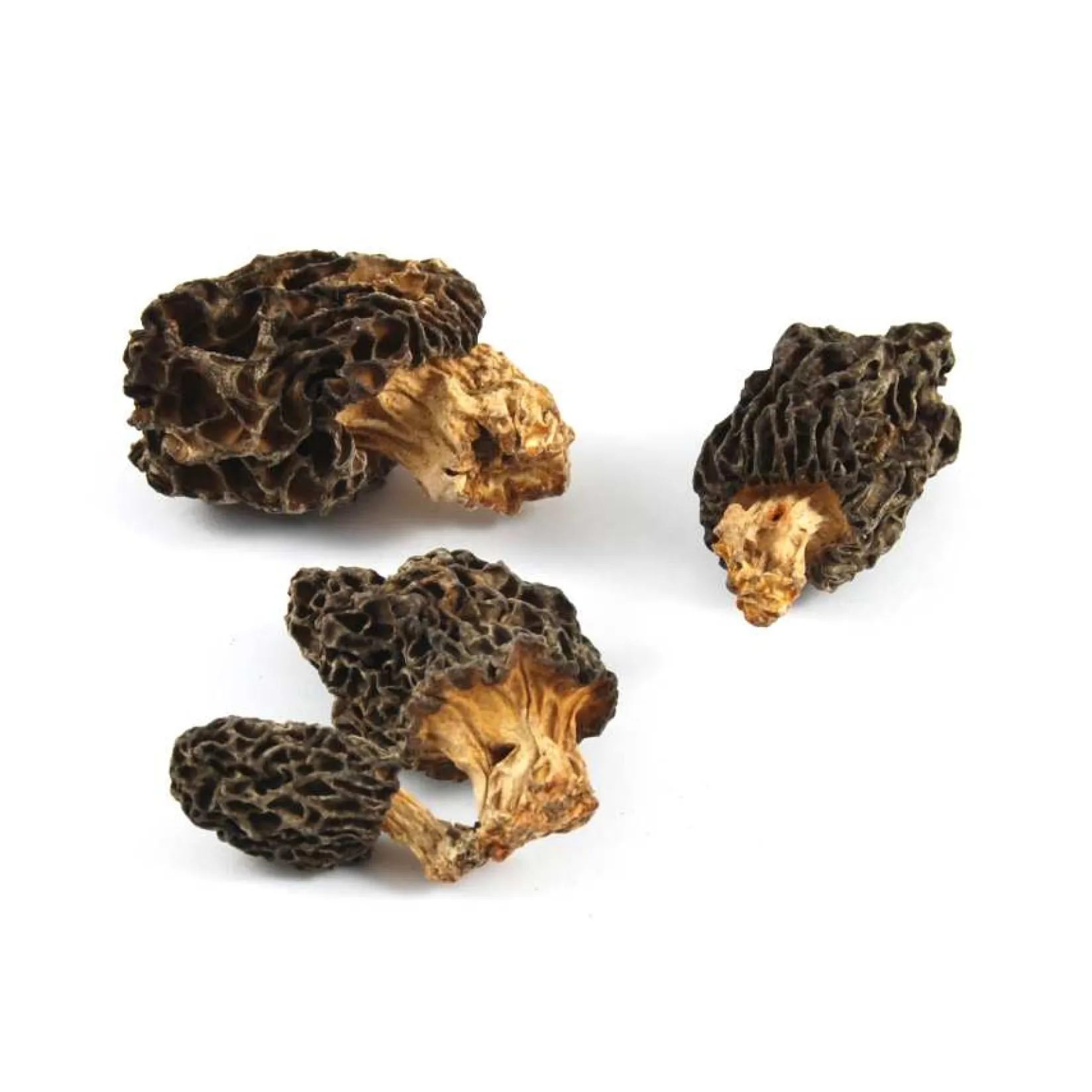Sous Chef Ingredients Brands|Italian Ingredients^Wild Morel Mushrooms, 30g
