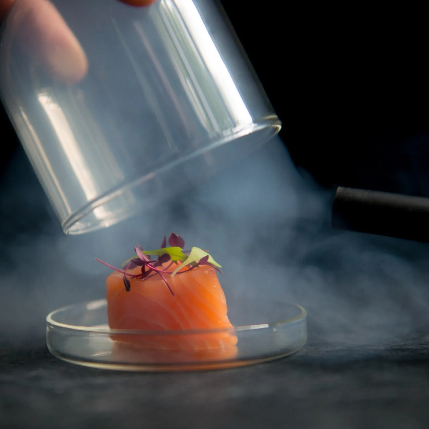 Portuguese Tableware Tableware Brands|Serveware^4x Small Domed Glass Cloche, 8cm dia